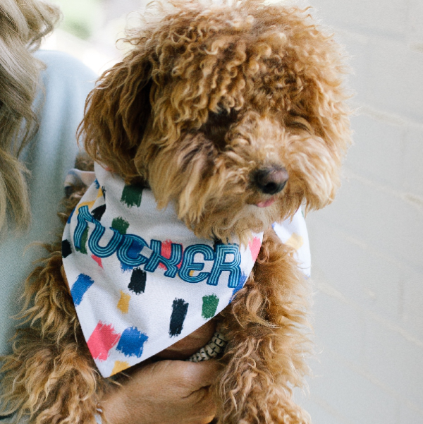 Come On Get Happy! Confetti Ivory Dog Bandana